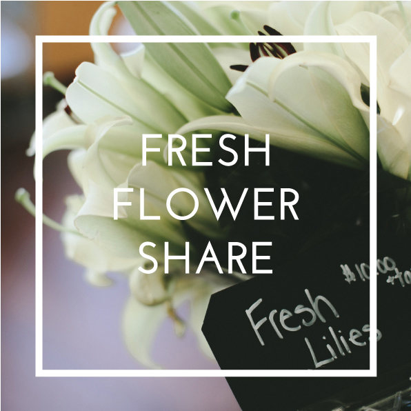 fresh-flower-share